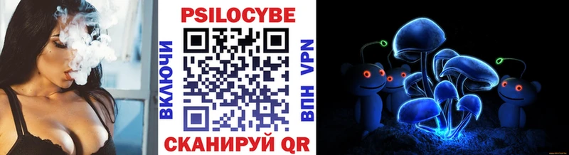 hydra как зайти  Новороссийск  Псилоцибиновые грибы Psilocybe 